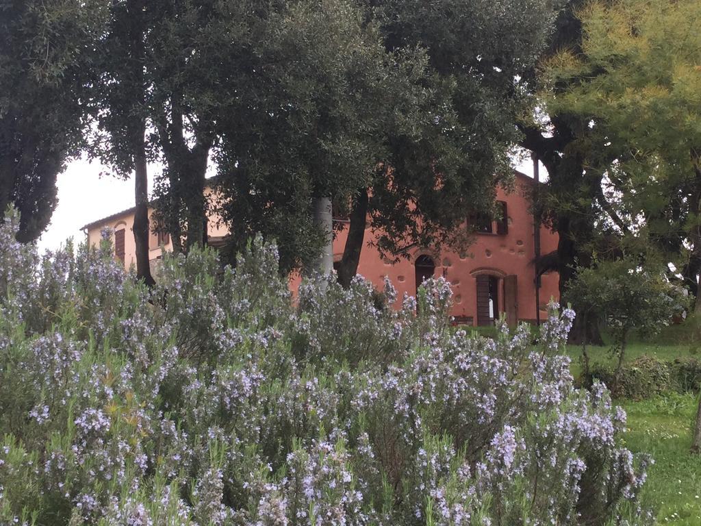 Agriturismo Colle Donatucci Guest House Castagneto Carducci Exterior photo
